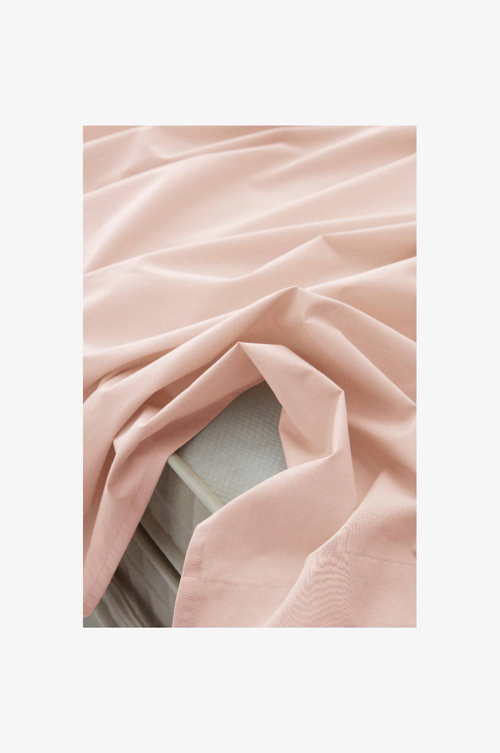 Jotex ZACK PERCALE Laken organisch Begrenztes Angebot
