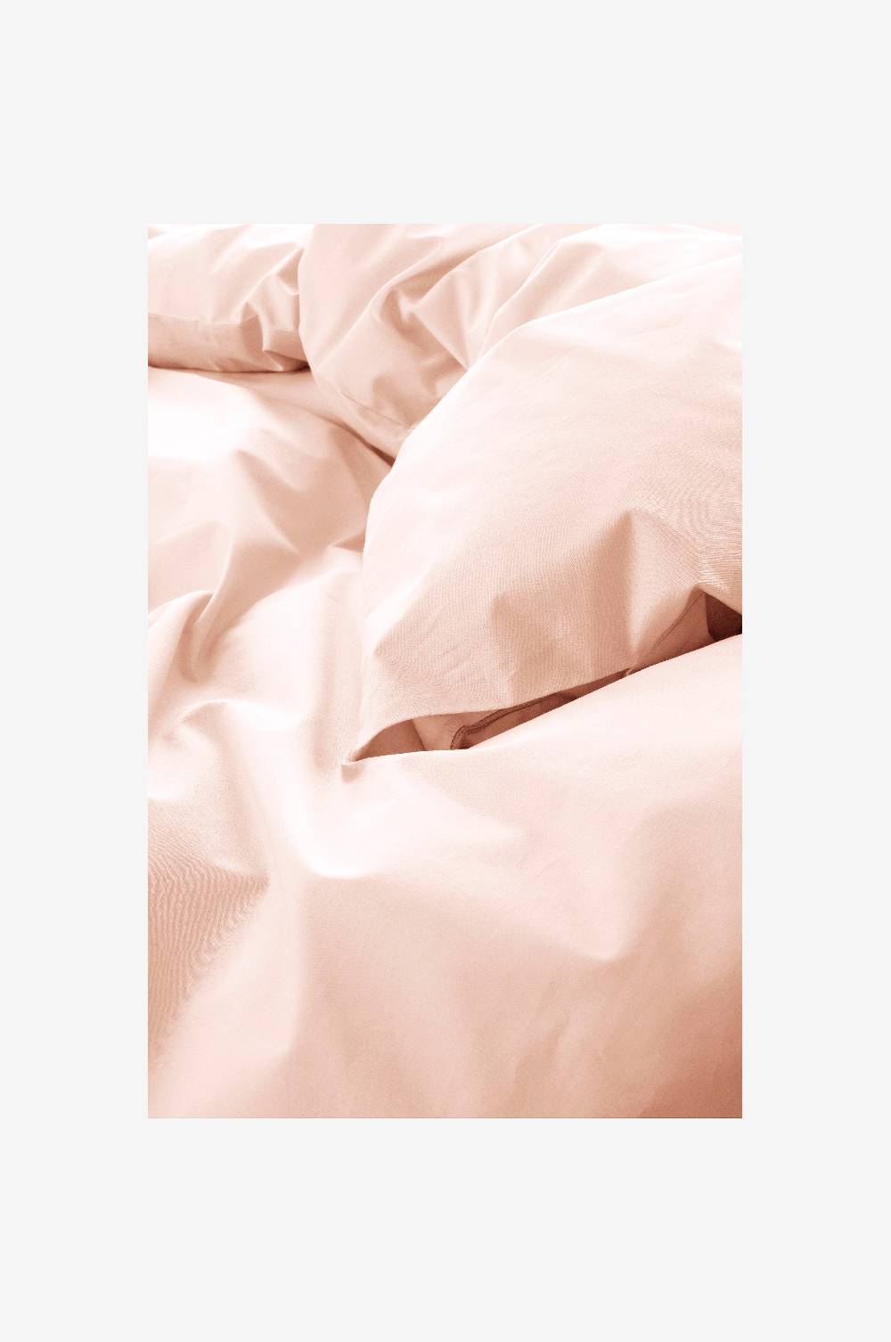 Jotex ZACK PERCALE Bettbezug ‒ Bio-Qualität Online Shopping
