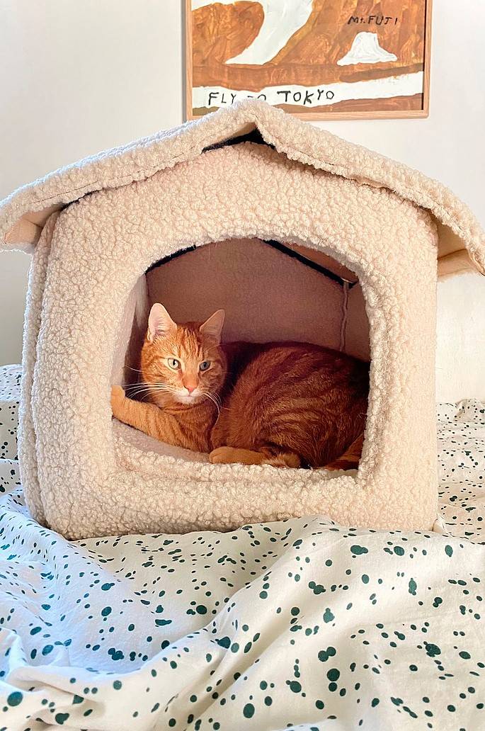 Jotex KENZA Hundebett/Katzenbett