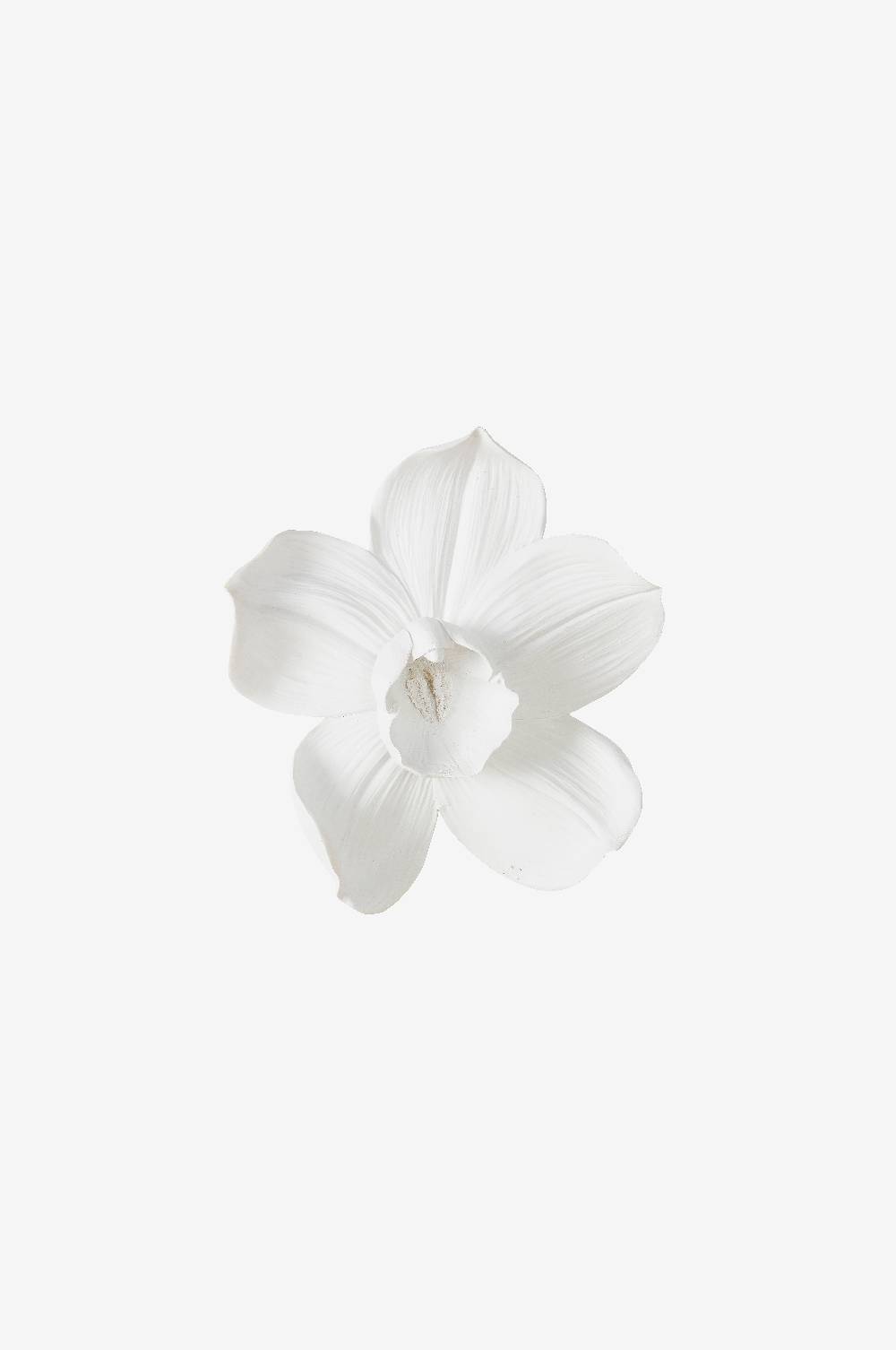 Jotex ORCHID Wanddeko, mittel Meist gekauft