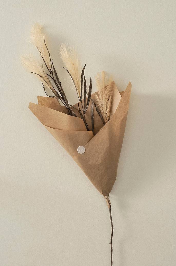 Jotex PAMPAS WIND 1 Stängel
