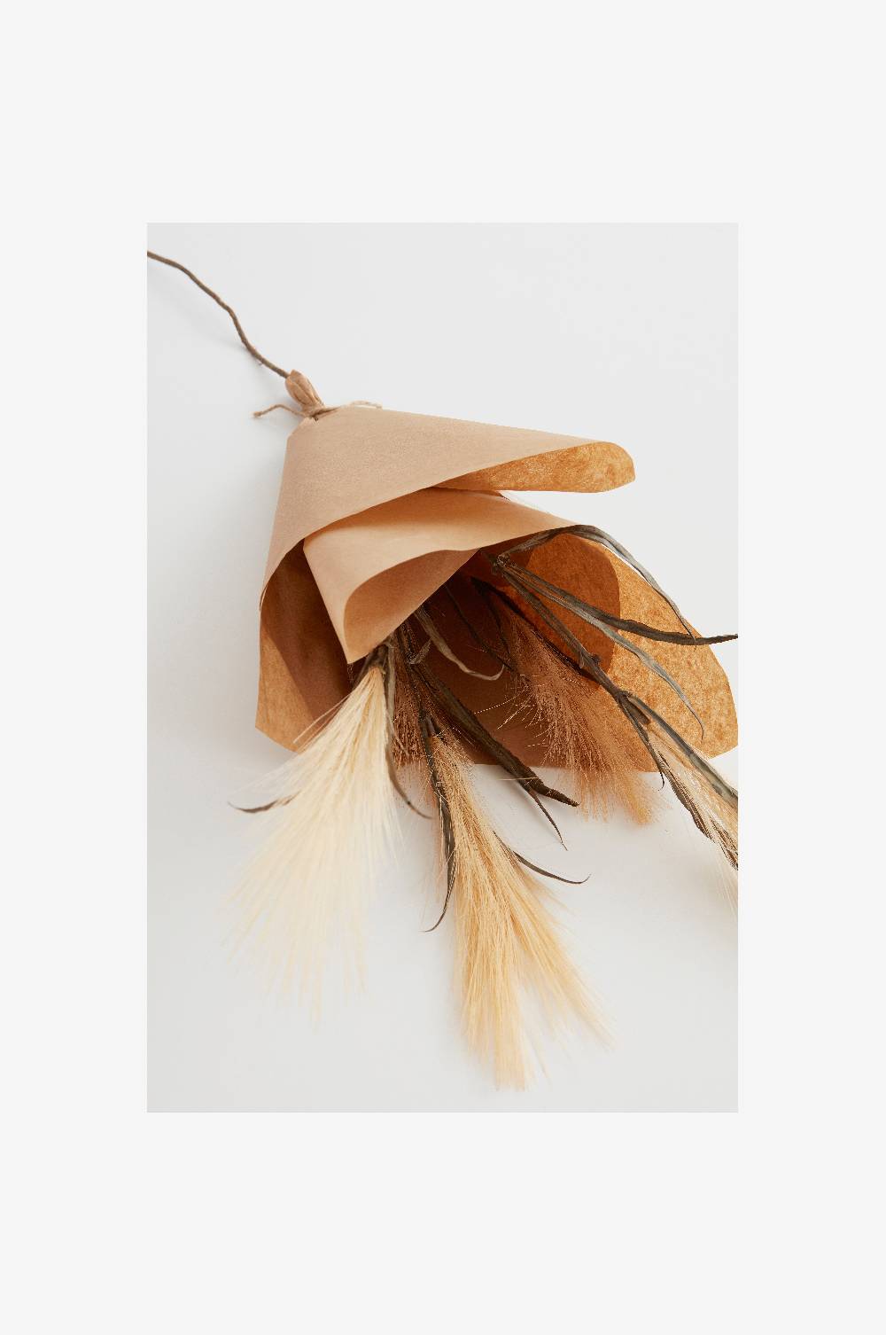 Jotex PAMPAS WIND 1 Stängel Fabrikpreis