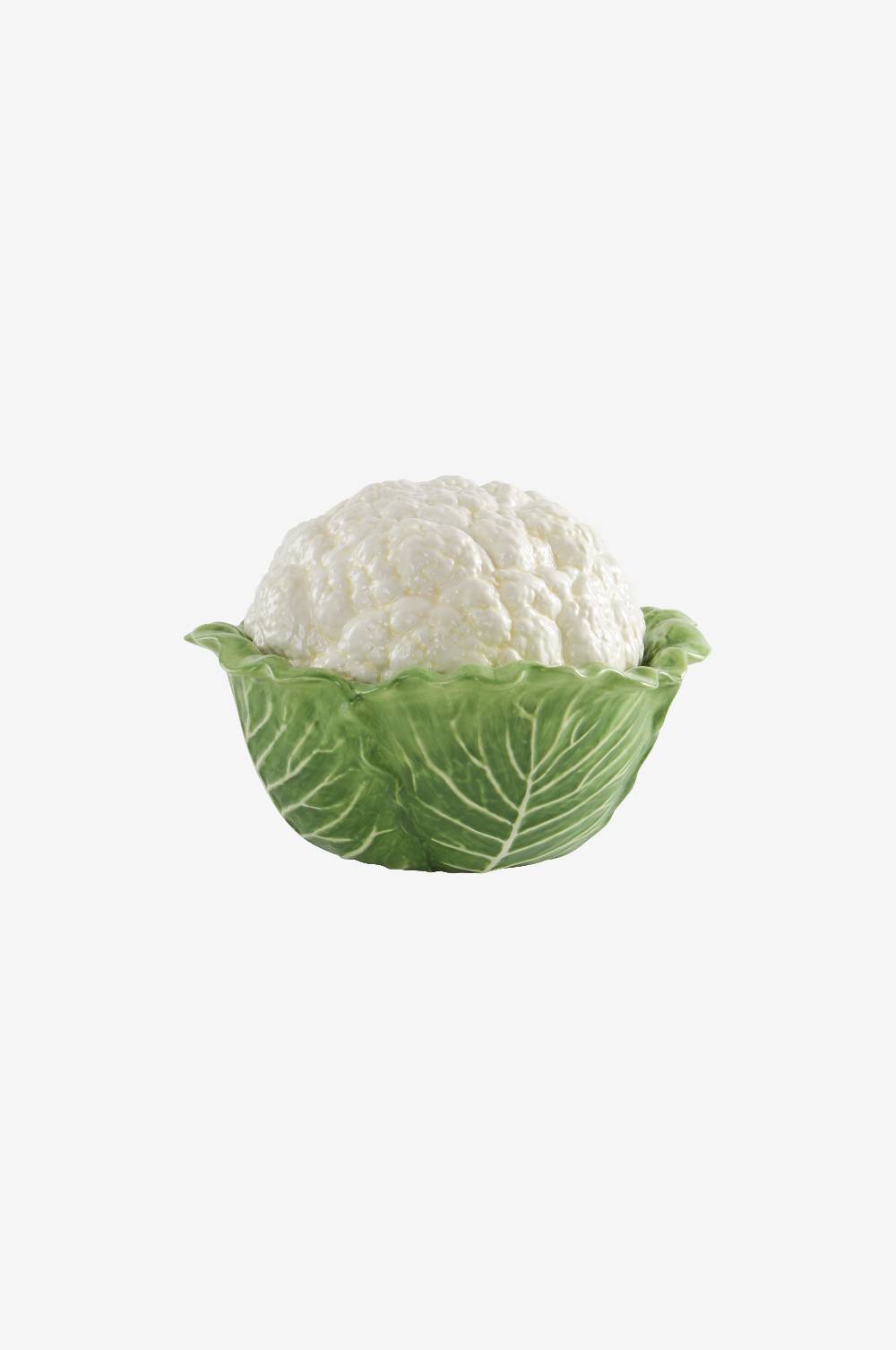 Jotex CAULIFLOWER Dose Sonderangebot