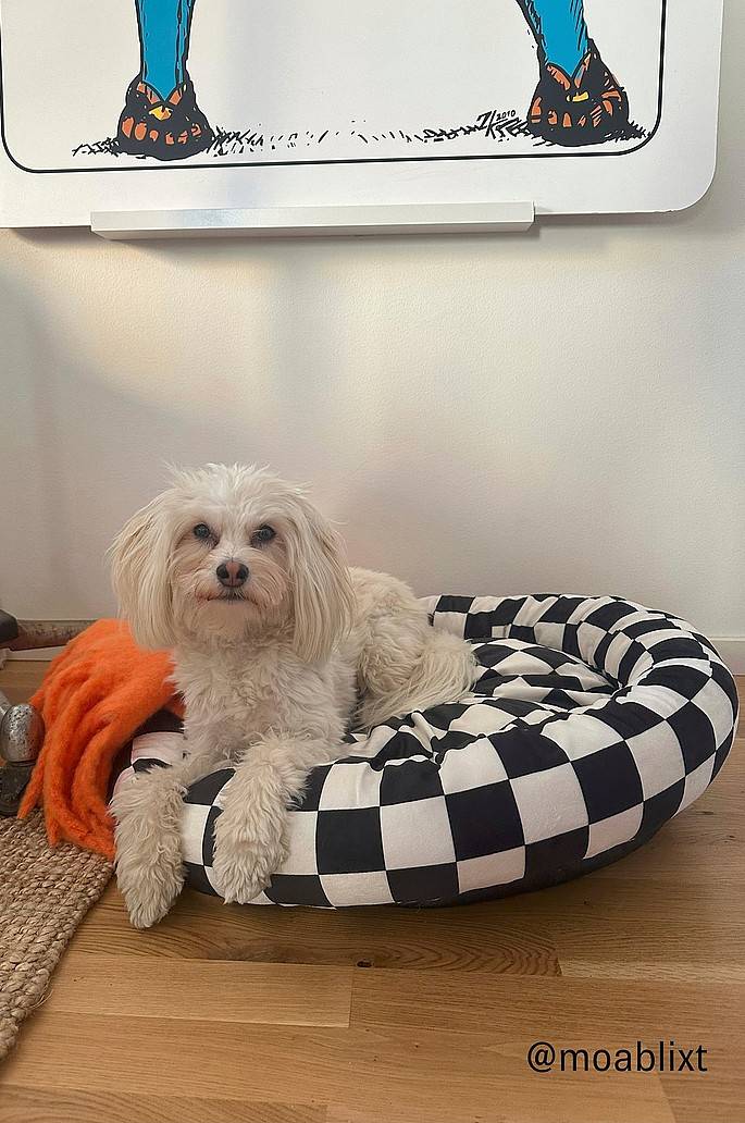 Jotex YOSHINI Hundebett/Katzenbett