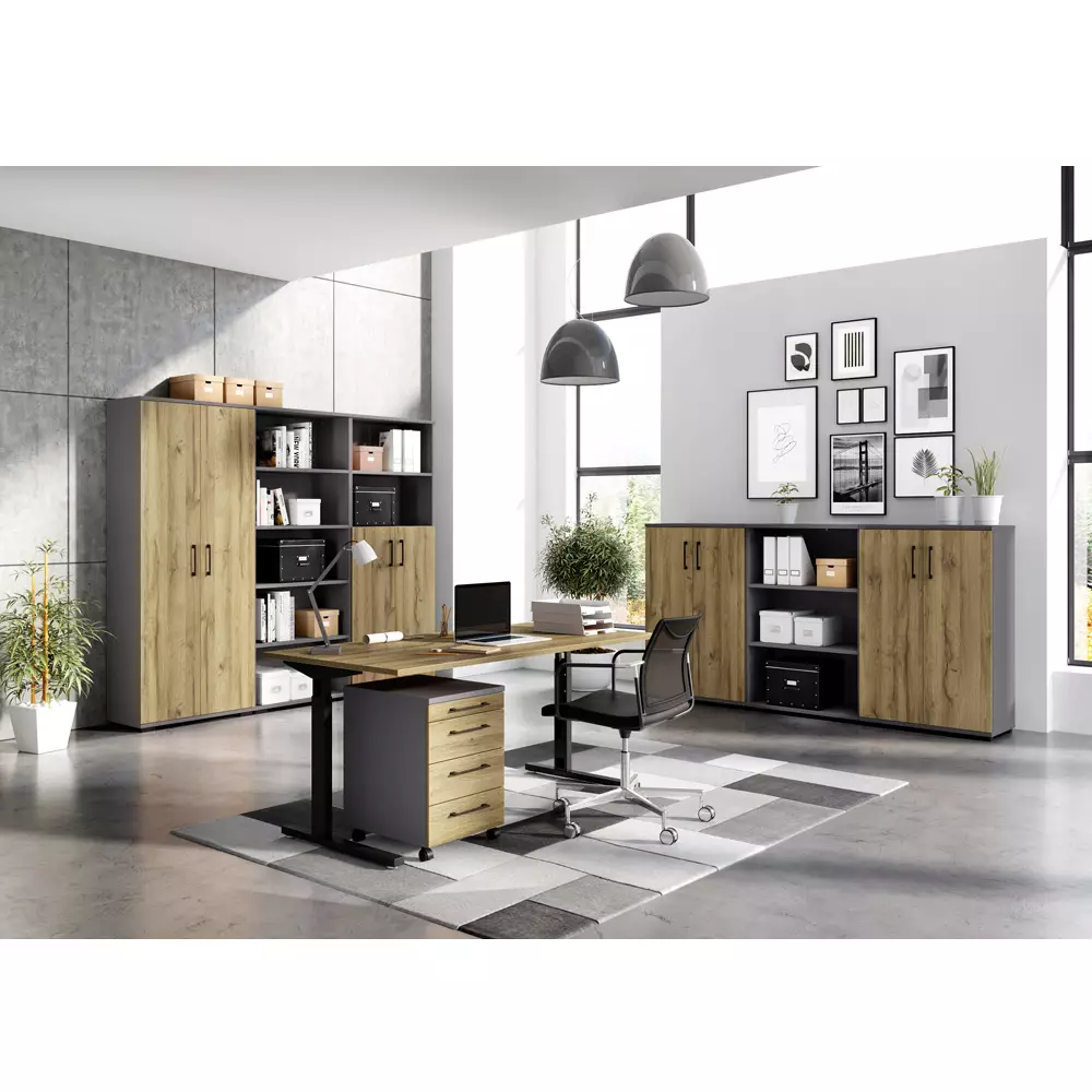 Lomadox Aktenregal Arbeitszimmer PRATO-01 in graphit, B/H/T: ca. 80/123/40 cm Sonderangebote