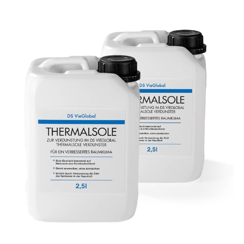 DS VieGlobal Thermalsole 2er-Set - 2x 2,5l