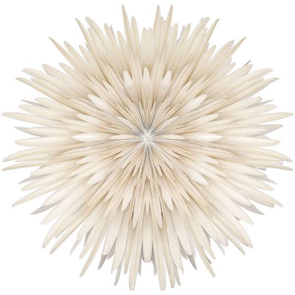 Mea Living Stella-Dalia, Papier weiß "golden dots" 60 cm 50% Rabatt für begrenzte Zeit