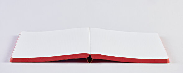 Nuuna Notizbuch Graphic L Truths & Dares Versandkostenfrei