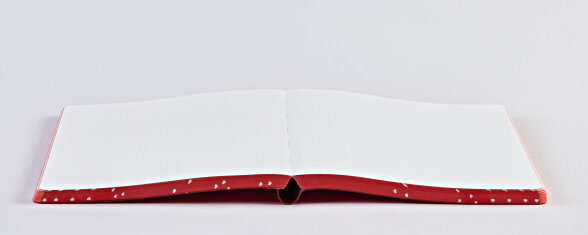 Nuuna Notizbuch Graphic L Heart Core Flash Sale