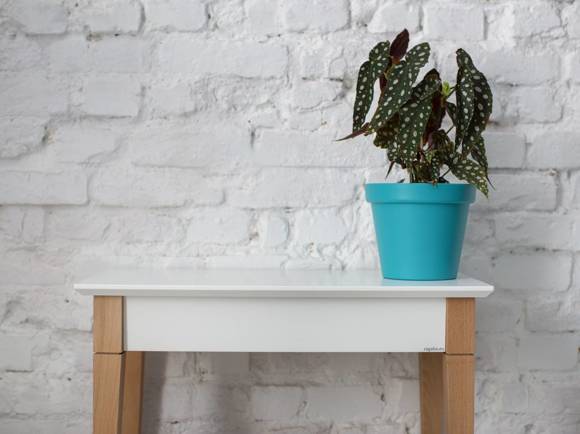 Ragaba MIMO Console Table with Shelf 65x35cm Fleeting Mint zollfrei
