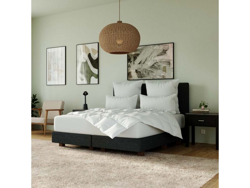 Ribeco Hanse by RIBECO Bettdecke Hybrid Letzte 2 Tage