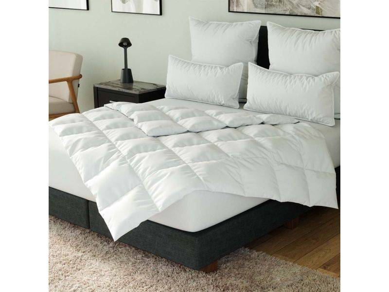Ribeco Hanse by RIBECO Bettdecke Hybrid Letzte 2 Tage