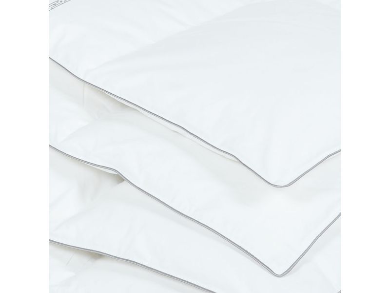 Ribeco RIBECO Daunendecke ScandicDream 60% Daune 50% Rabatt mit kostenlosem Versand