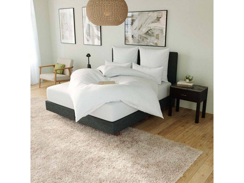 Ribeco RIBECO Ballonbett Leon 50% Daune Schlussverkauf