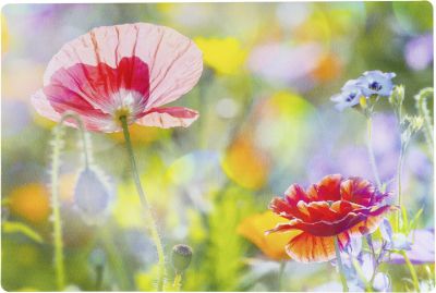 Ritzenhoff & Breker Blumen Tischset
