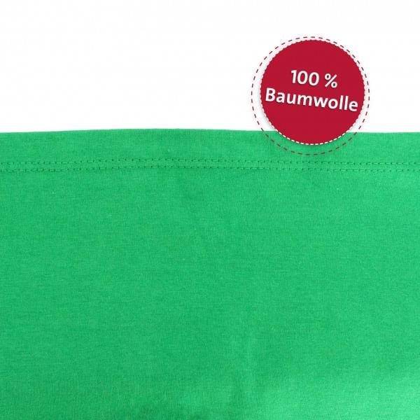 Roth Ideen Kinder T-Shirt Tyrannosaurus, kelly green - (130-140) Großer Ausverkauf