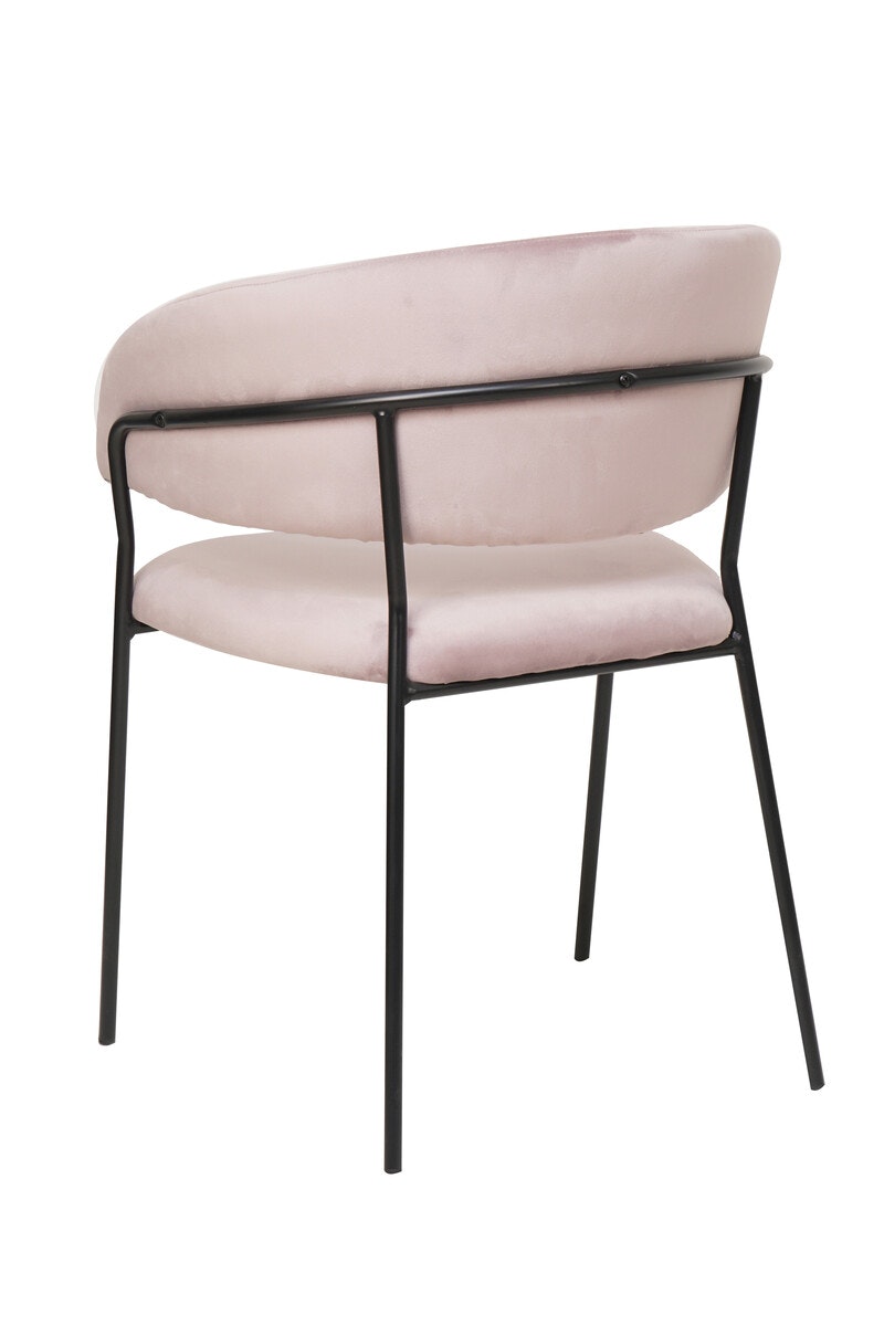 Salesfever Stuhl Rose & Schwarz Samt mit Rückensteppung Gestell Metall Pearl VIP-Rabatte