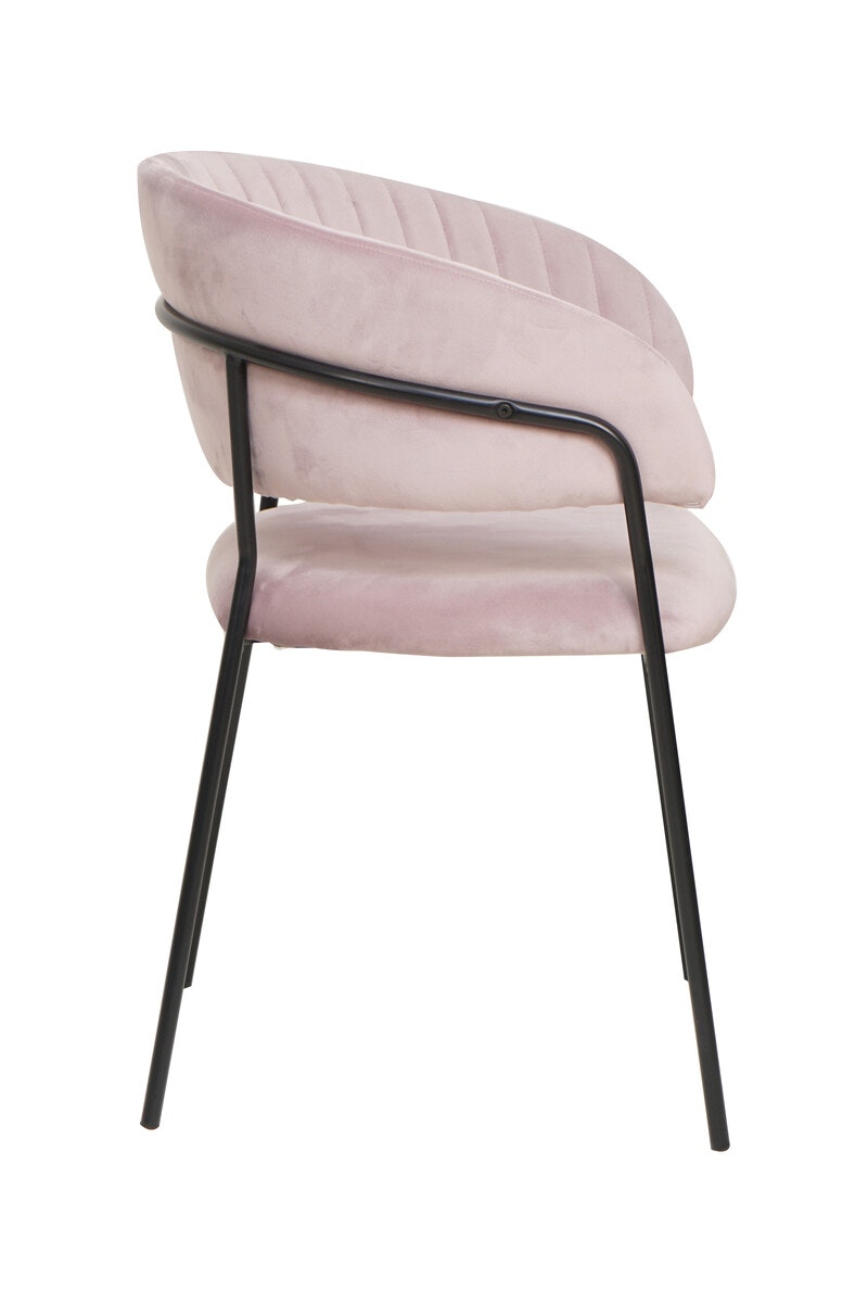 Salesfever Stuhl Rose & Schwarz Samt mit Rückensteppung Gestell Metall Pearl VIP-Rabatte