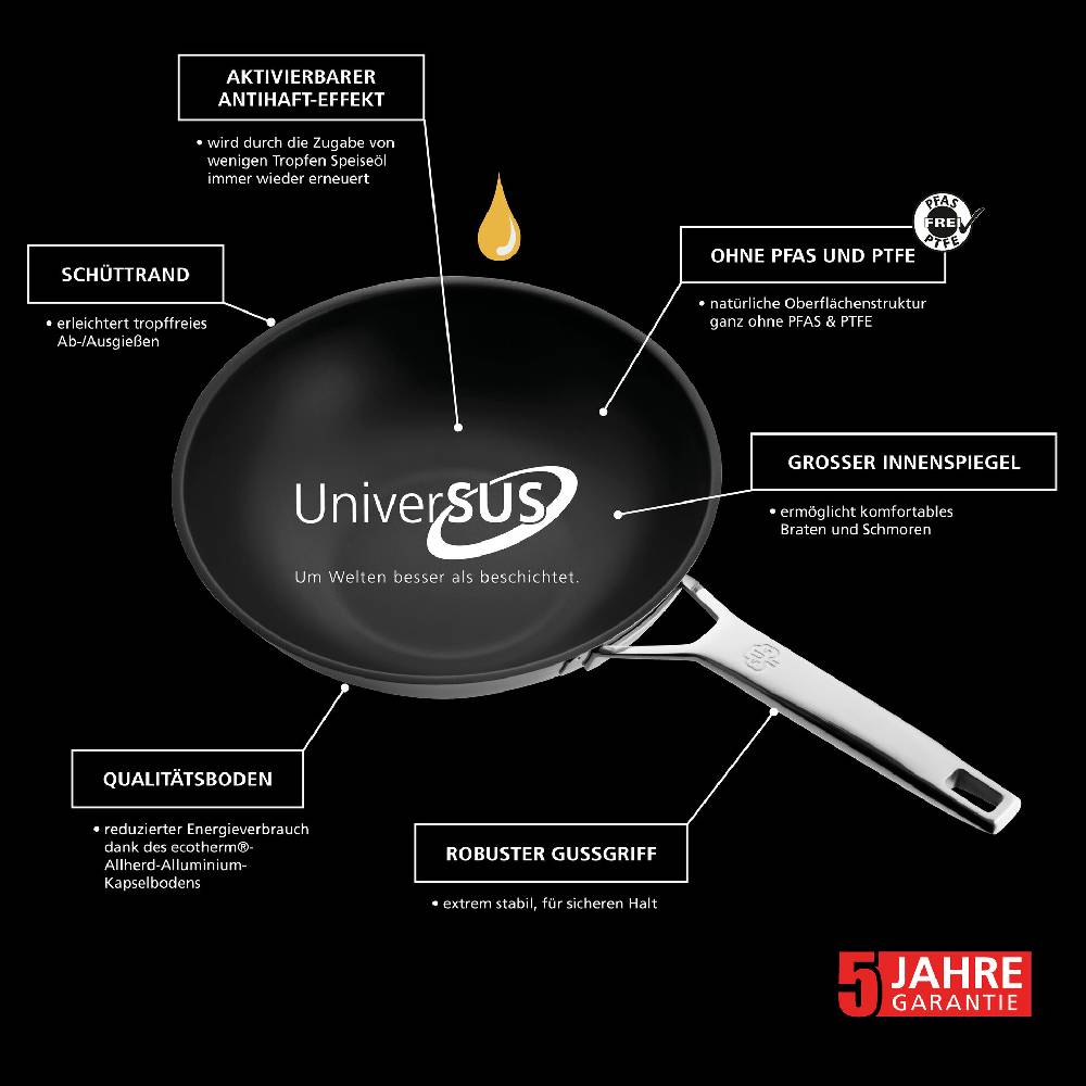 ﻿Schulte Ufer Wokpfanne Astral mit UniverSUS-Oberflächenstruktur, 28 cm Kostenloser Versand international