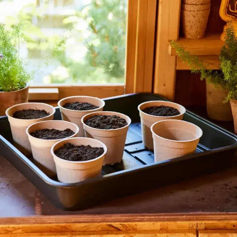 Siena Garden 10er-Pack ECO-Kulturtöpfe Verkauf