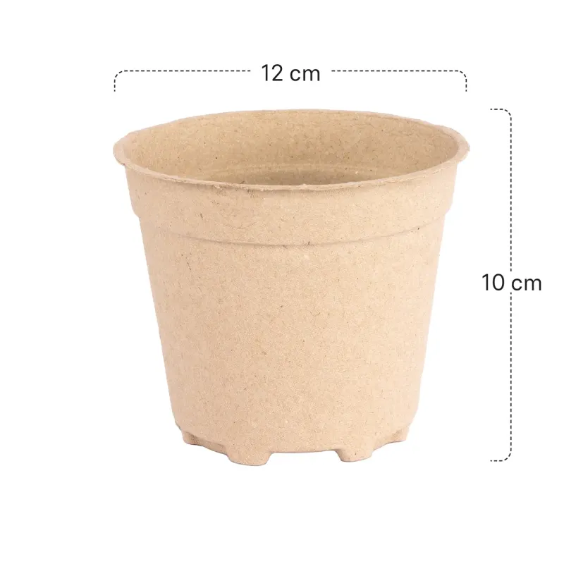 Siena Garden 10er-Pack ECO-Kulturtöpfe Verkauf