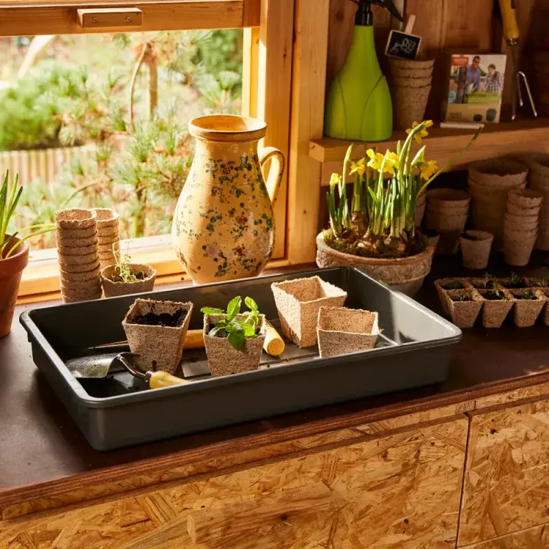 Siena Garden 12 Bio-Anzuchttöpfe Ø 8cm Angebote