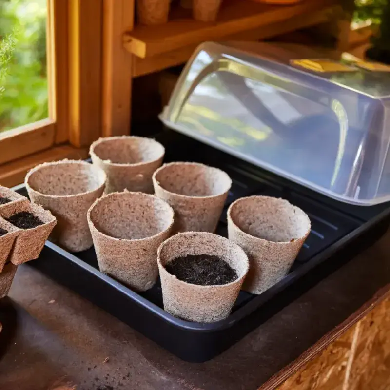 Siena Garden 12 Bio-Anzuchttöpfe Ø11cm Hotsell