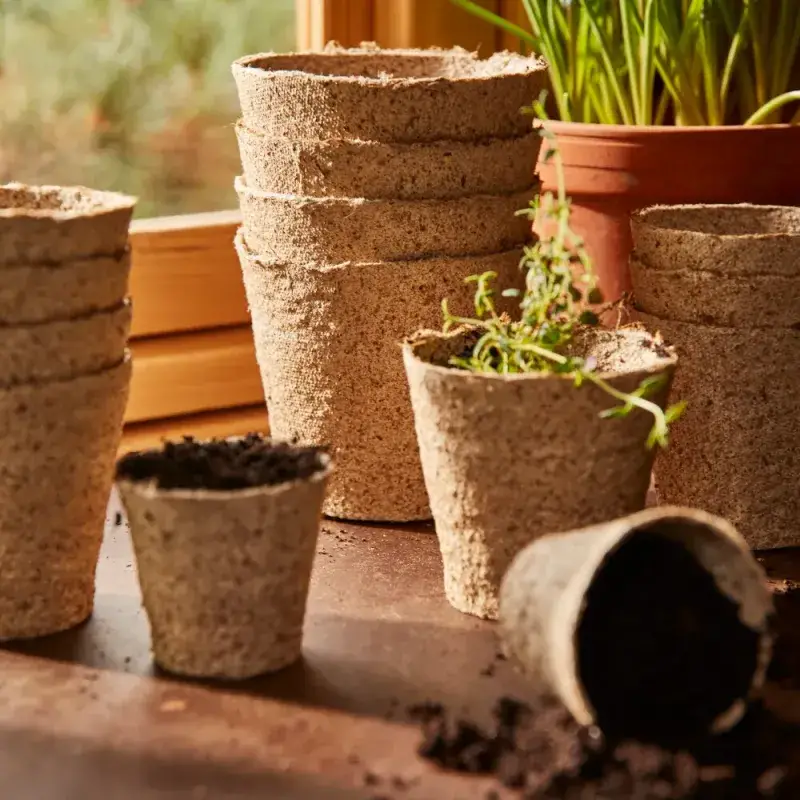 Siena Garden 24 Bio-Anzuchttöpfe Ø 6cm Blitzverkäufe