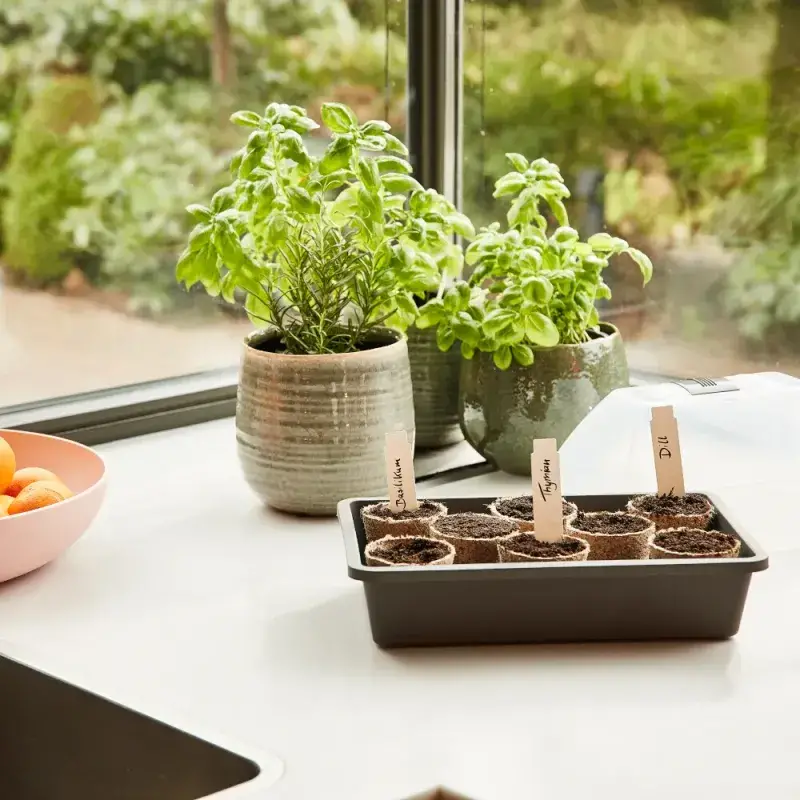 Siena Garden 24 Bio-Anzuchttöpfe Ø 6cm Blitzverkäufe