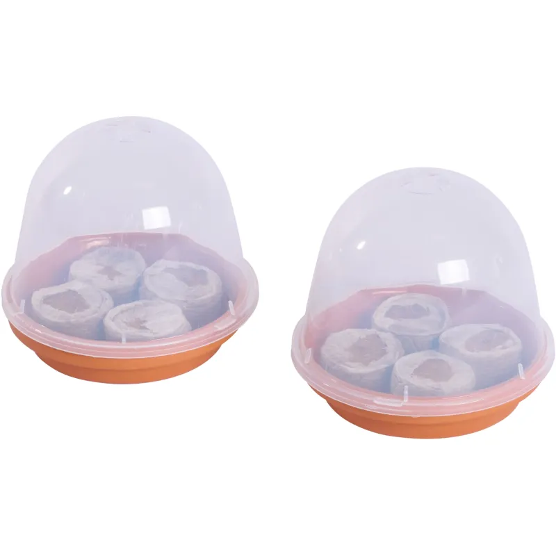 Siena Garden 2er-Mini-Anzuchtset Kostenloser Versand