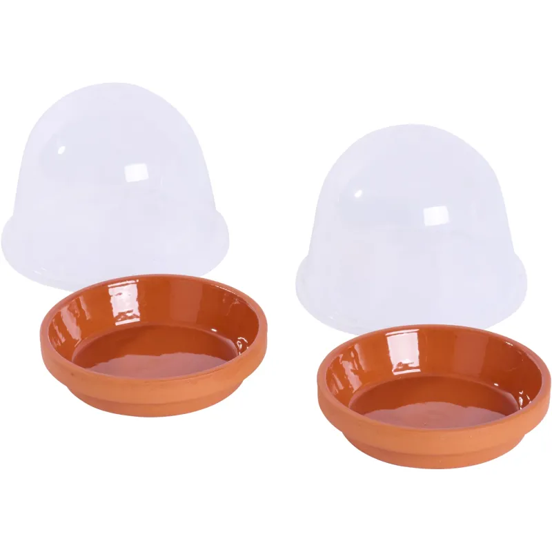 Siena Garden 2er-Mini-Anzuchtset Kostenloser Versand
