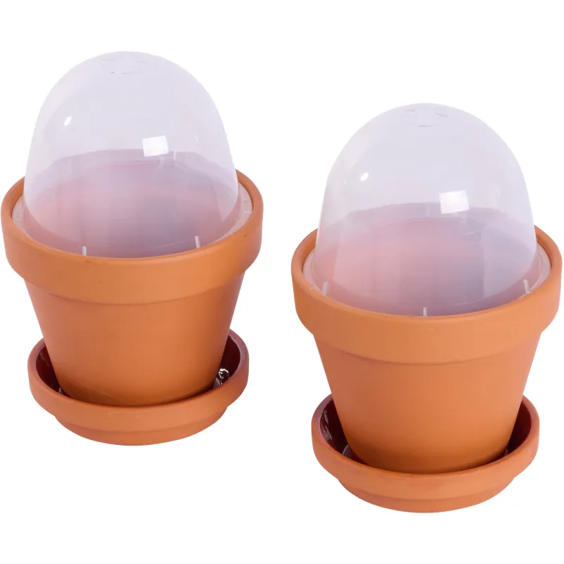Siena Garden 2er-Set Anzuchttopf Ton Limitierter Zeitrabatt