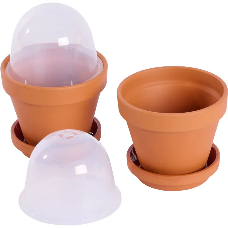 Siena Garden 2er-Set Anzuchttopf Ton Limitierter Zeitrabatt