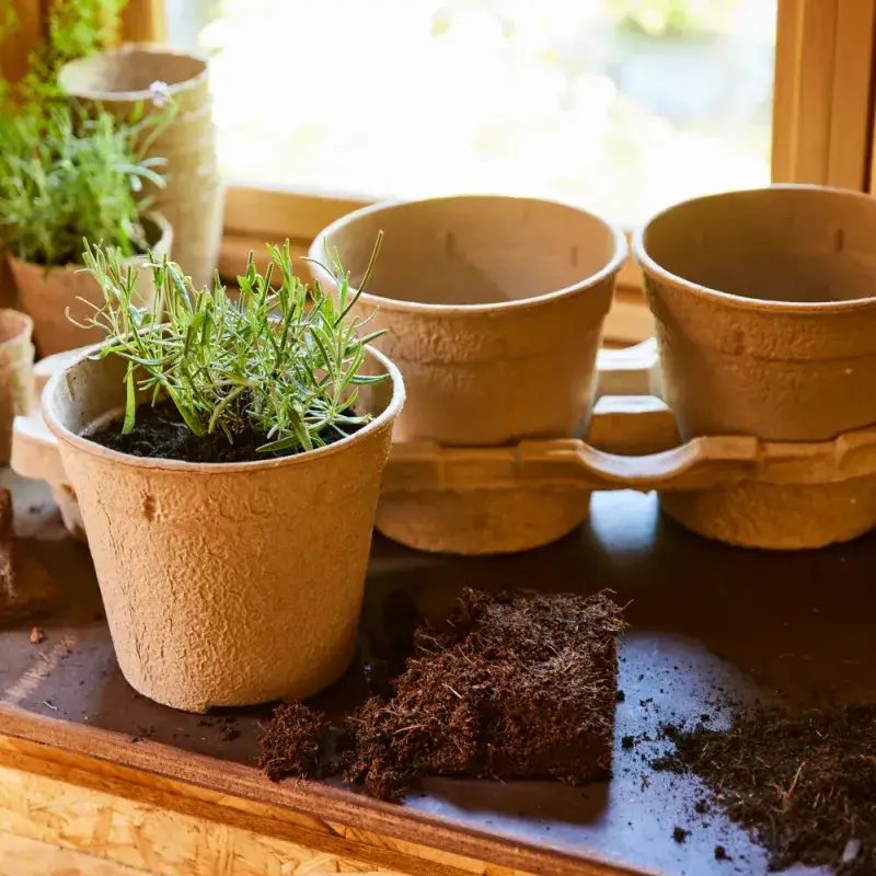 Siena Garden 3er-ECO-Kulturtopfset Fabrikpreis
