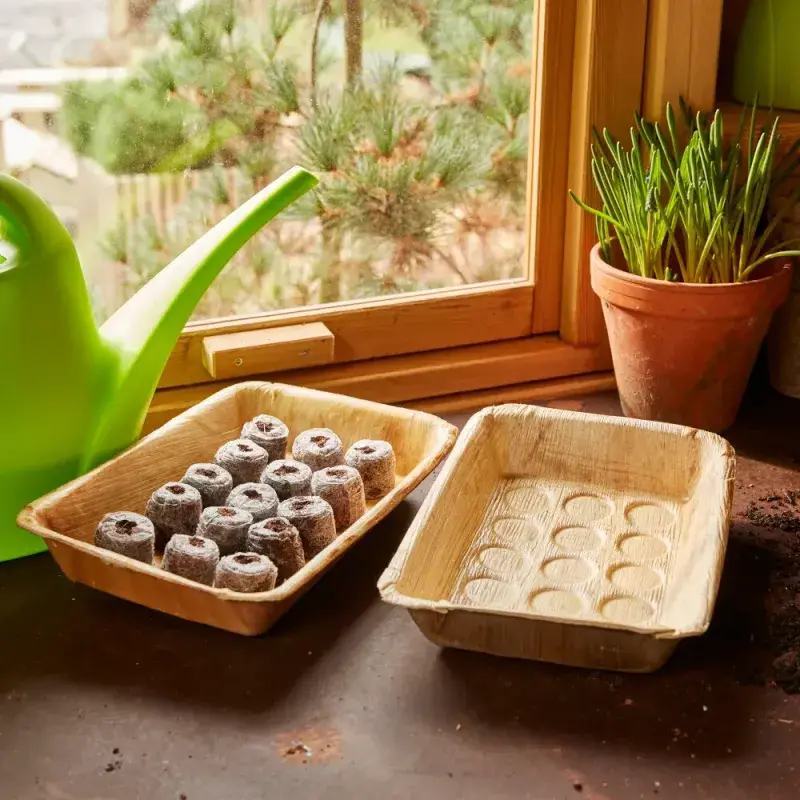 Siena Garden 50 Kokosquelltöpfe mit Netz Ø3,5cm Versandkostenfrei