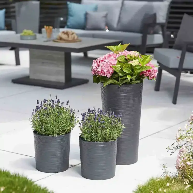 Siena Garden Locon Groove Blumentopf Saisonale Angebote