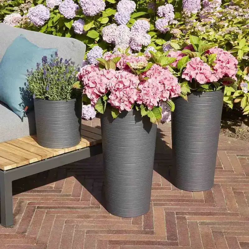 Siena Garden Locon Groove Blumentopf Saisonale Angebote
