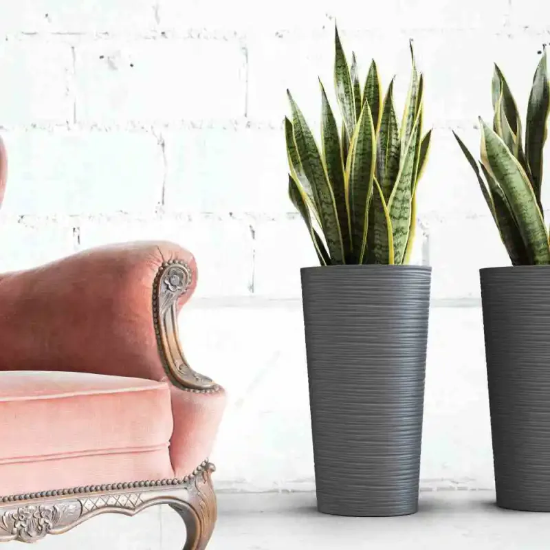 Siena Garden Locon Groove Blumentopf JETZT KAUFEN