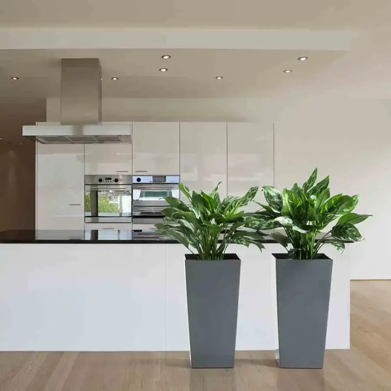 Siena Garden Lyon Blumentopf Bis zu 65% Rabatt
