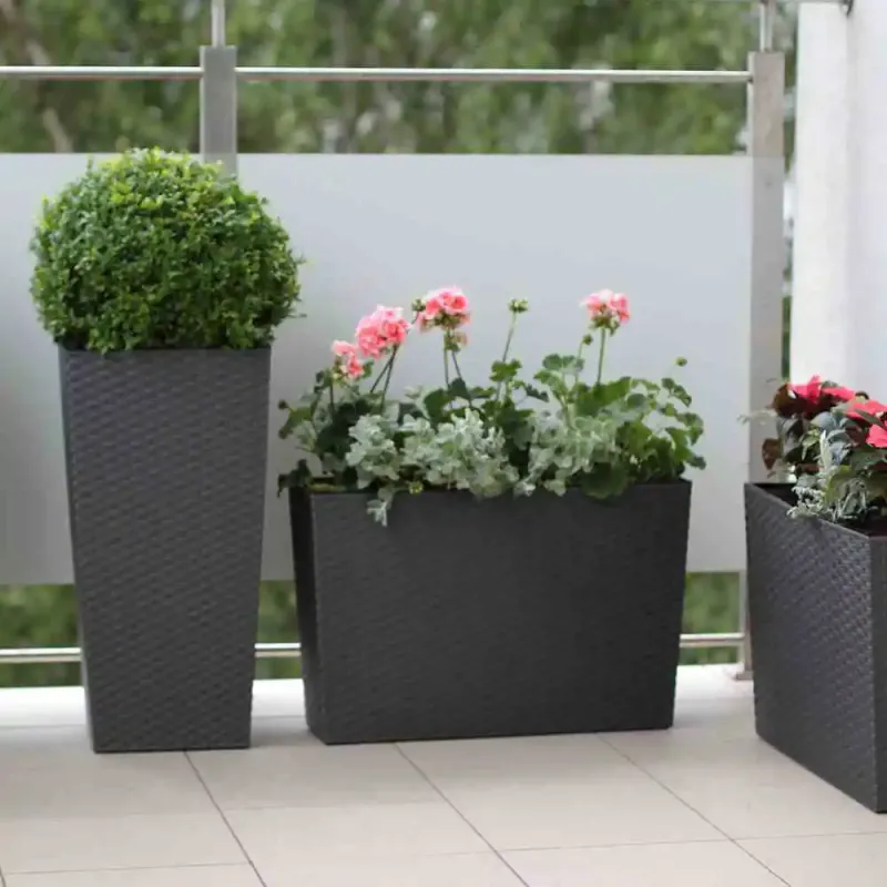 Siena Garden Paris Blumentopf Sonderangebot der Fabrik
