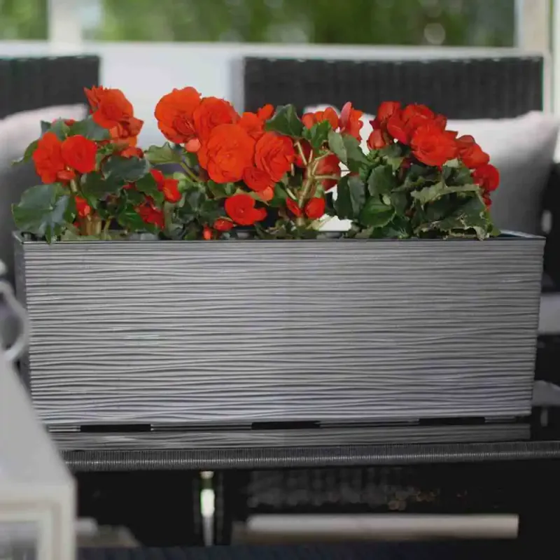 Siena Garden Odos Blumentopf Online