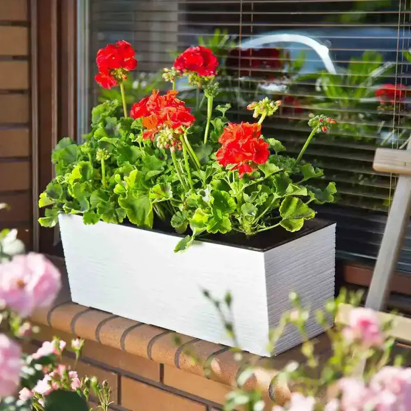 Siena Garden Odos Blumentopf Outlet
