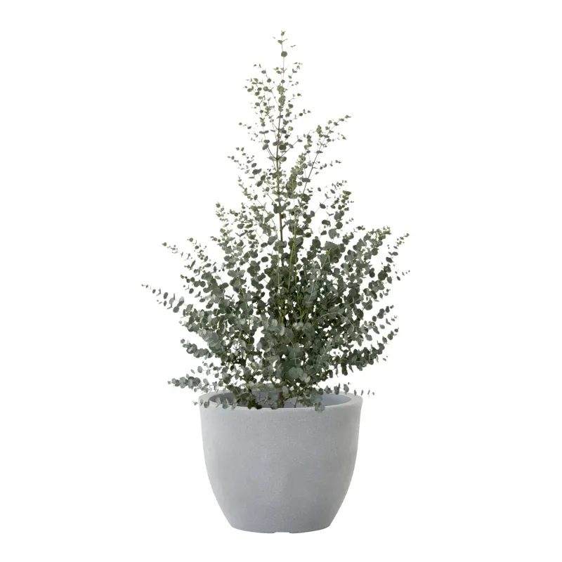 Siena Garden Bristol Pflanzkübel im Angebot