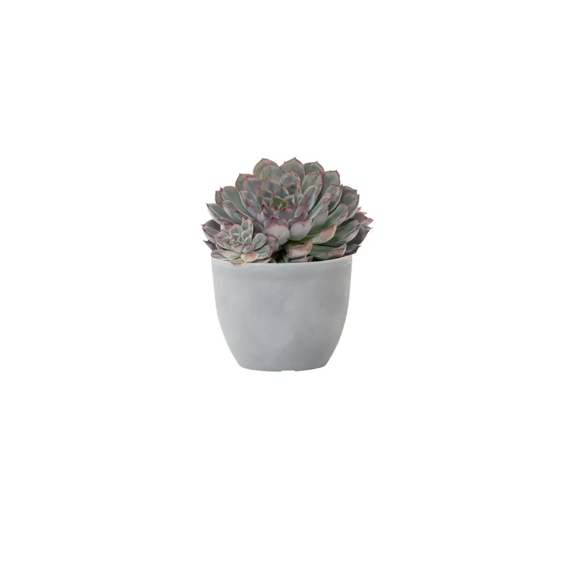Siena Garden Bristol Pflanzkübel Fabrik Onlineshop