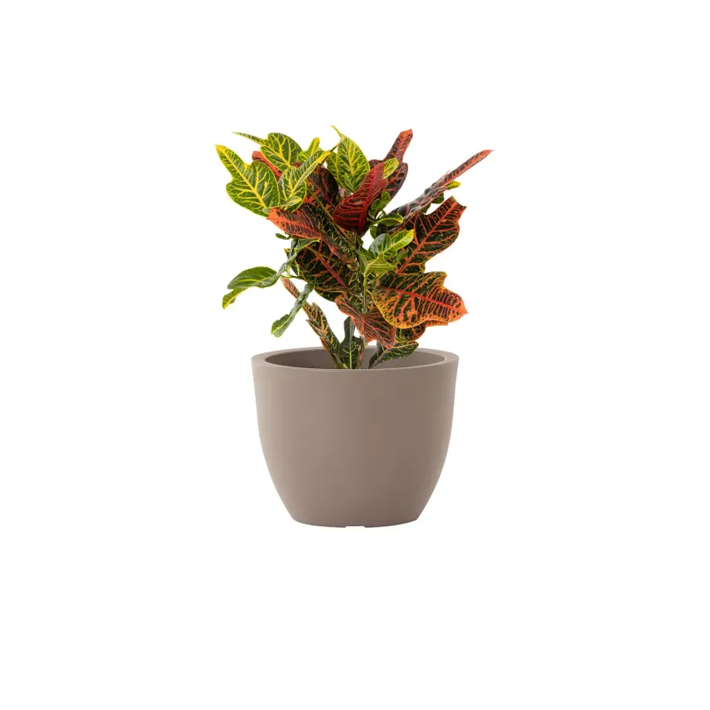 Siena Garden Bristol Pflanzkübel Günstig kaufen