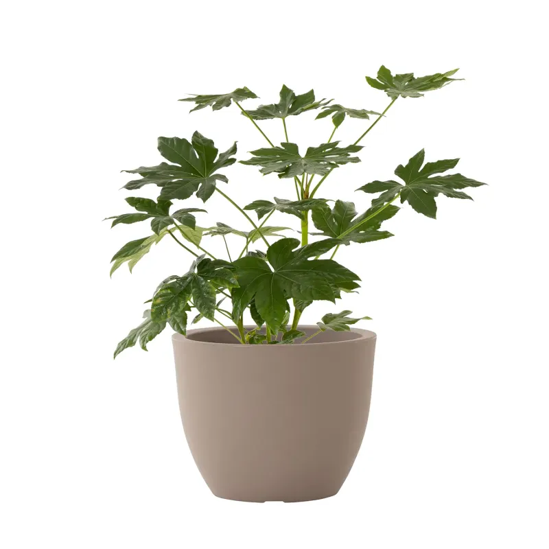 Siena Garden Bristol Pflanzkübel Begrenztes Angebot
