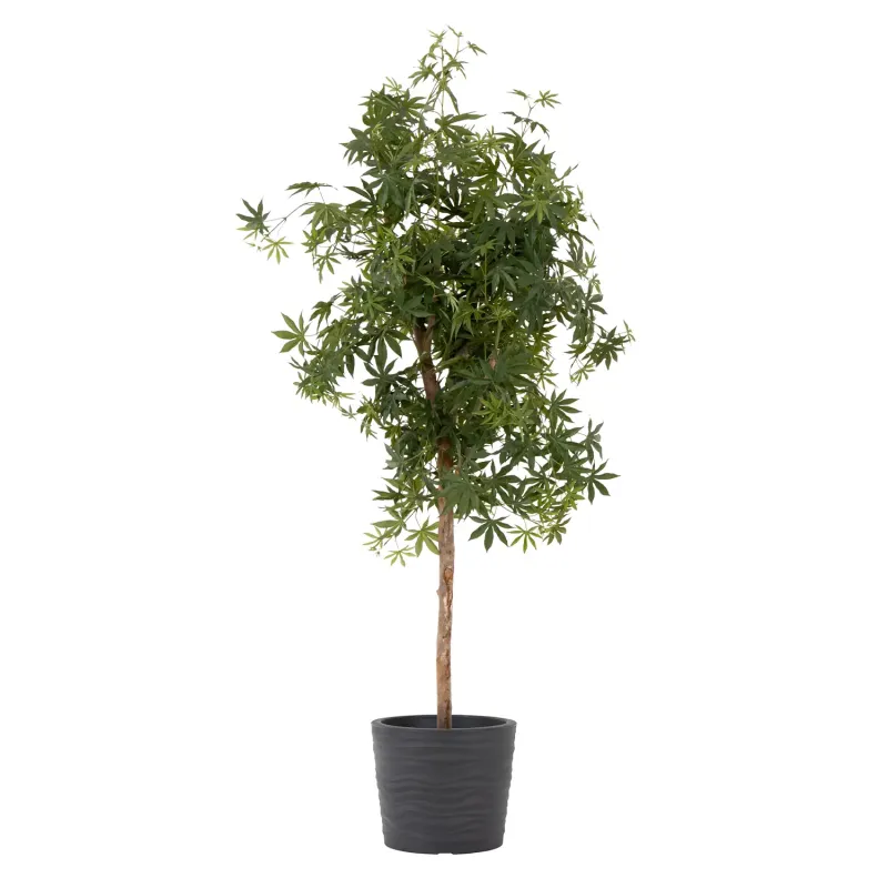 Siena Garden Madrid Blumentopf Cyber Monday