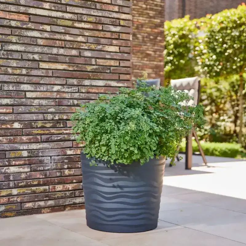 Siena Garden Madrid Pflanzkübel Online Outlet