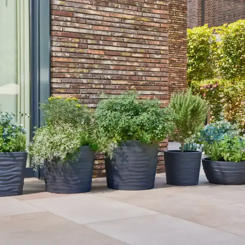 Siena Garden Madrid Pflanzkübel Online Outlet
