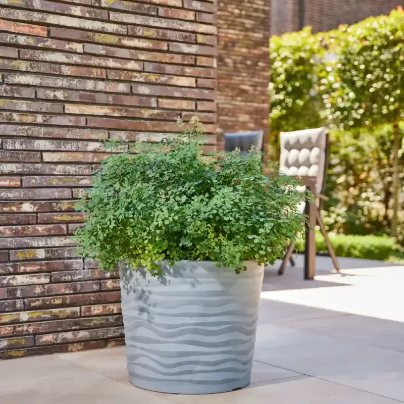 Siena Garden Madrid Pflanzkübel Zeitlich begrenztes Angebot